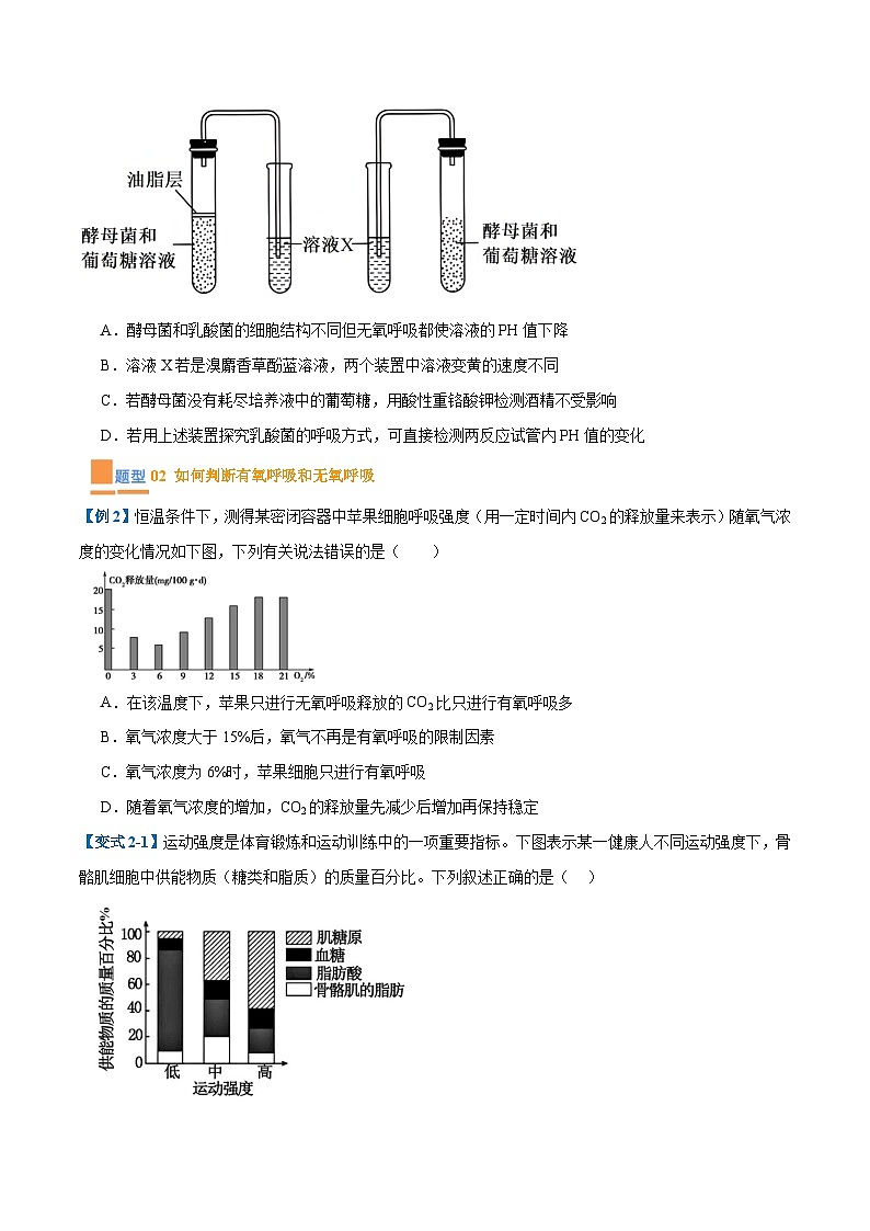 专题04 细胞呼吸(4大题型)(原卷版)第2页