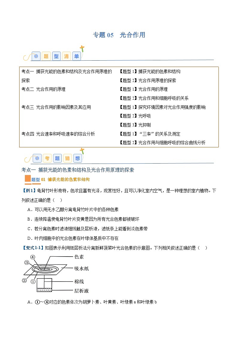 专题05 光合作用(9大题型)(原卷版)第1页