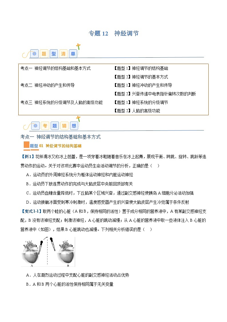 专题12 神经调节(6大题型)(原卷版)第1页