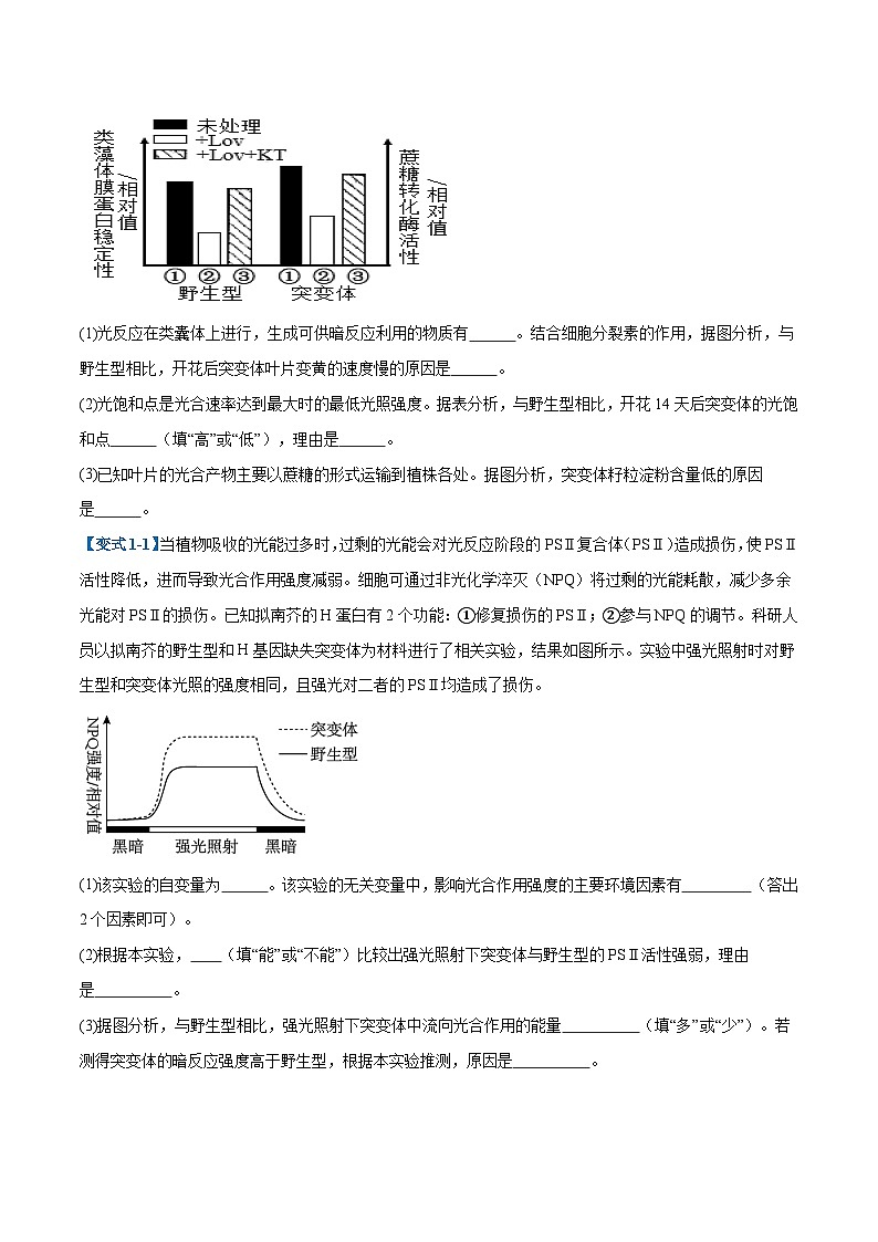专题20 非选择专题(5大题型)(原卷版)第2页