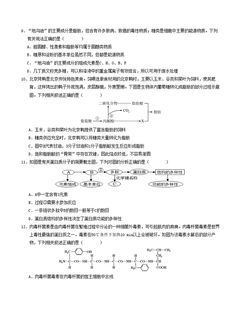 人教版2019高中生物高一上学期第一次月考卷02(1~2章)含答案解析03