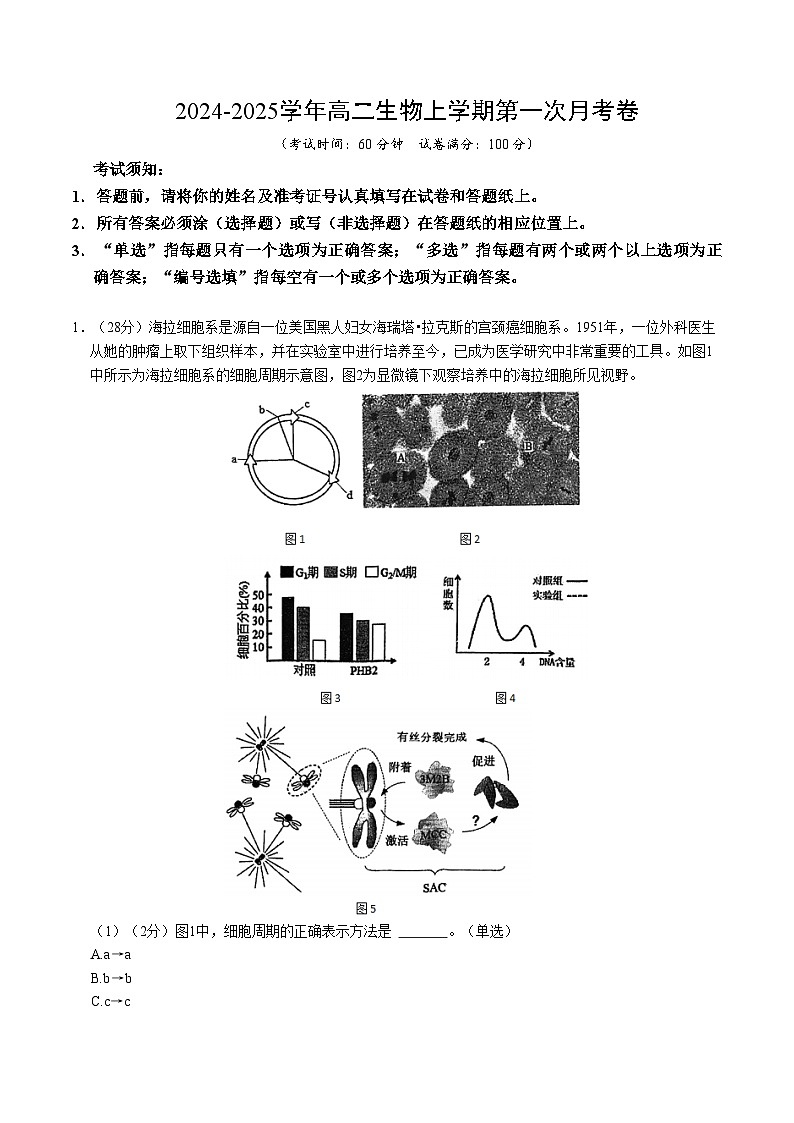 上海专用高中生物高二上学期第一次月考试卷(含答案解析)01