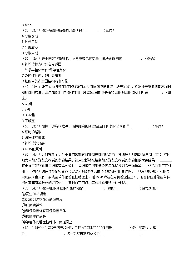 上海专用高中生物高二上学期第一次月考试卷(含答案解析)02