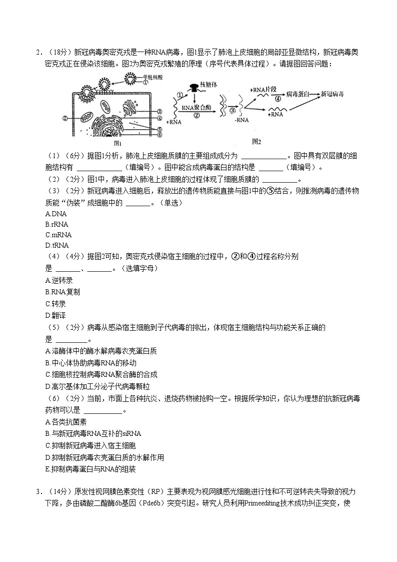 上海专用高中生物高二上学期第一次月考试卷(含答案解析)03