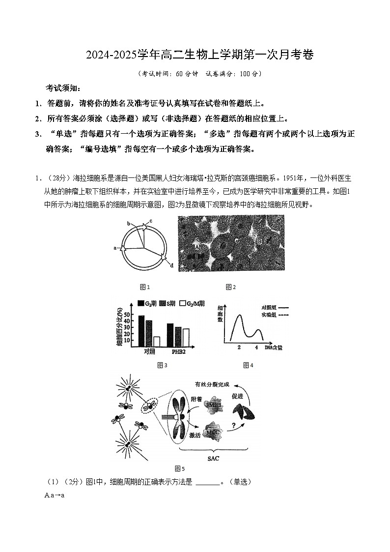 上海专用高中生物高二上学期第一次月考试卷(含答案解析)01