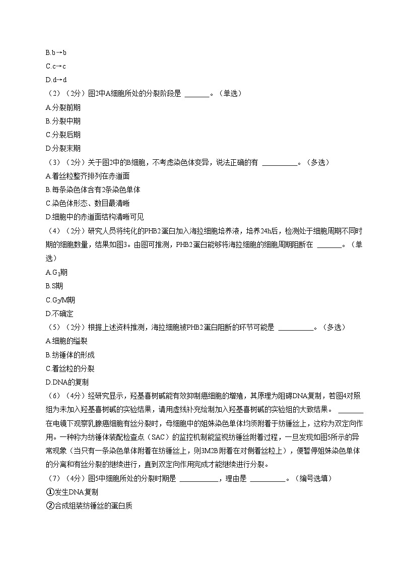 上海专用高中生物高二上学期第一次月考试卷(含答案解析)02