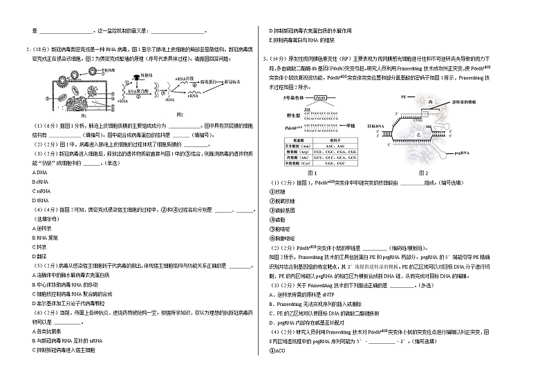 上海专用高中生物高二上学期第一次月考试卷(含答案解析)02