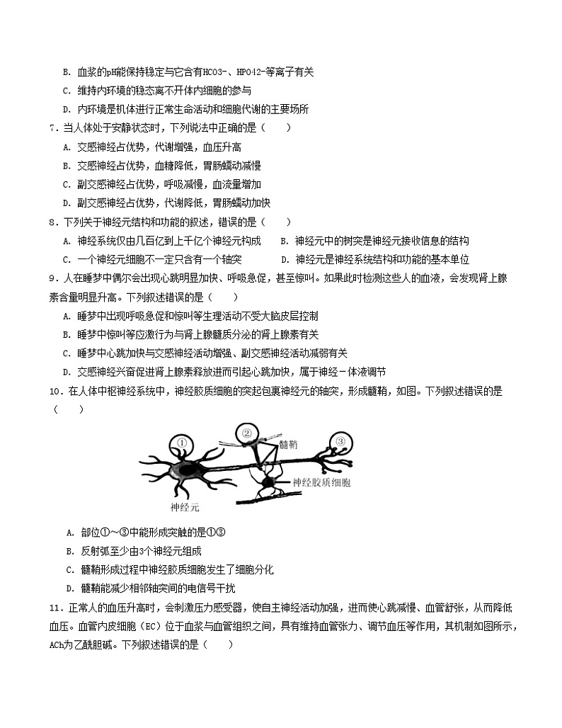 高二生物第一次月考卷(考试版A4)【测试范围:第1-2章】(人教版2019)第3页