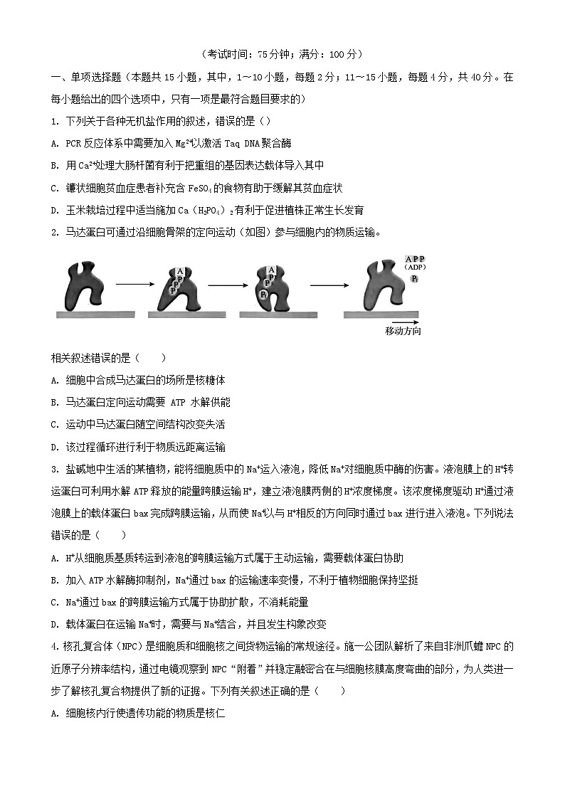 福建省龙岩市上杭县2024届高三生物上学期12月月考试题含解析第1页