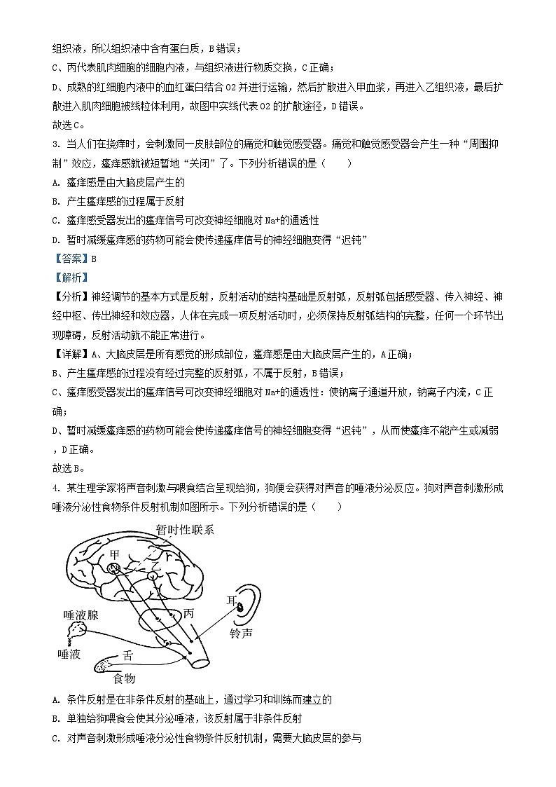 山西省朔州市怀仁市2023_2024学年高二生物上学期11月期中试题含解析第2页