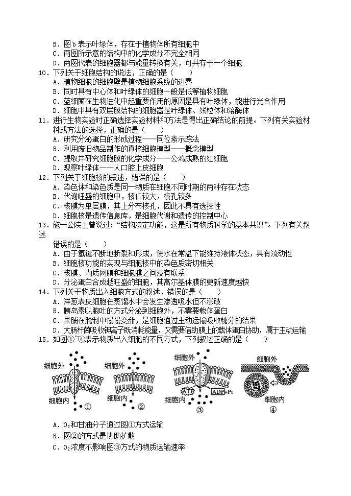 四川省2023_2024学年高一生物上学期12月月考试题第2页