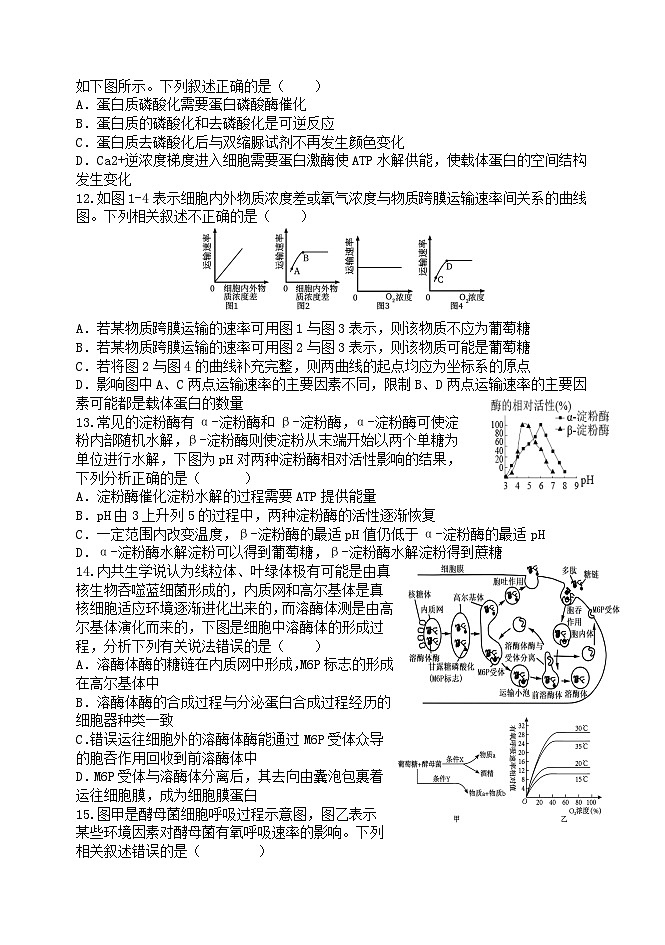 天津市静海区2023_2024学年高一生物上学期12月月考试题03