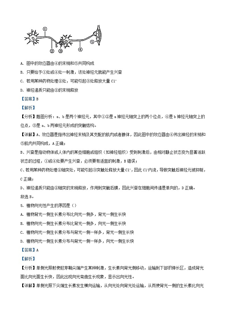 新疆乌鲁木齐市2022_2023学年高二生物下学期开学考试试题含解析03