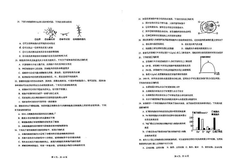 云南省昆明市2023_2024学年高一生物上学期12月月考试题pdf第3页