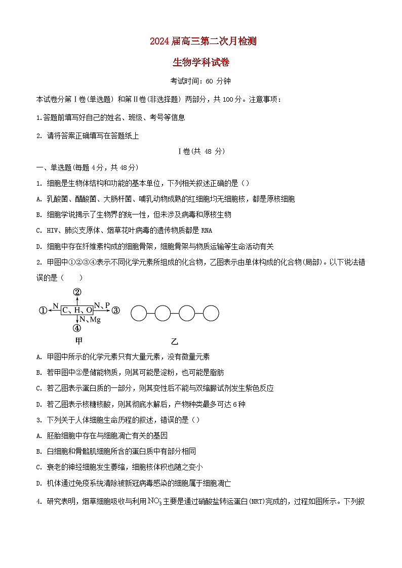 天津市2023_2024学年高三生物上学期12月月考试题无答案01