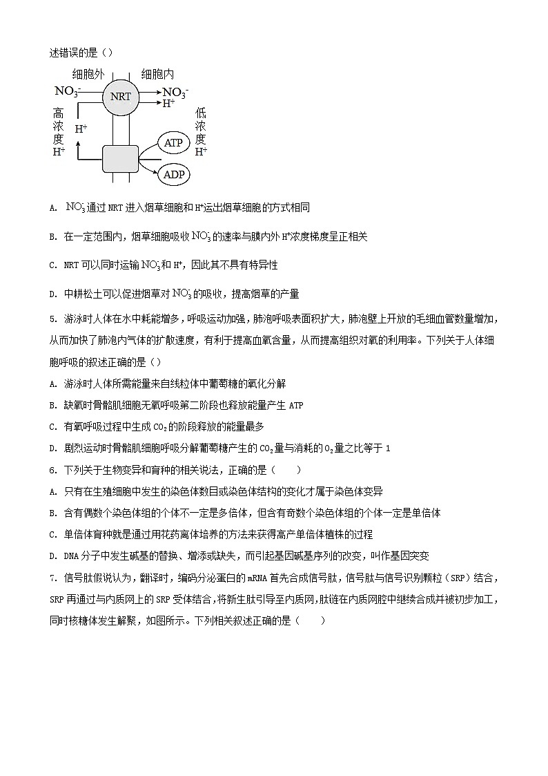 天津市2023_2024学年高三生物上学期12月月考试题无答案02