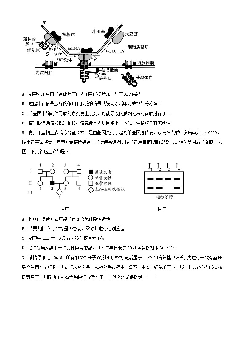 天津市2023_2024学年高三生物上学期12月月考试题无答案03
