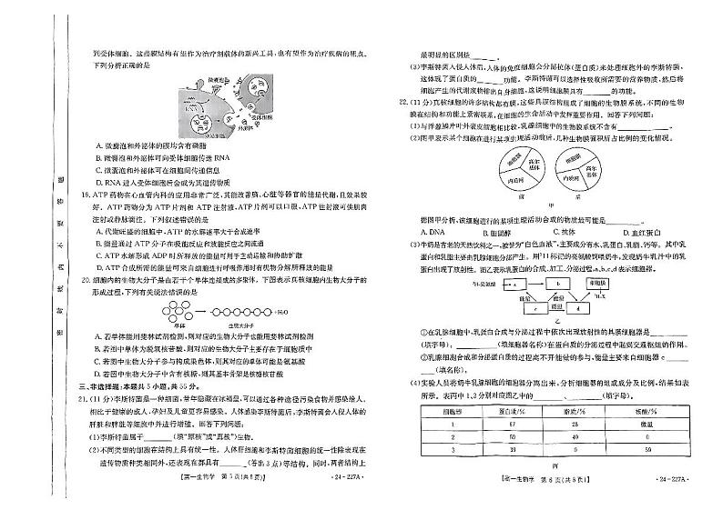 河南省2023_2024学年高一生物上学期12月联考试题pdf第3页