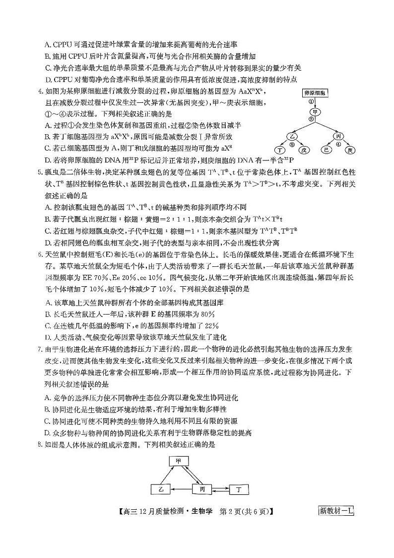 河南省名校联盟2023_2024学年高三生物上学期12月月考试题pdf02