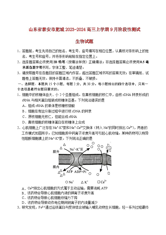 山东省泰安肥城2023_2024高三生物上学期9月阶段测试试题第1页