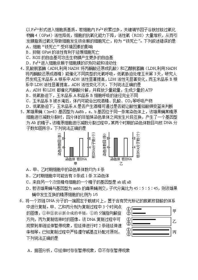 山东省泰安肥城2023_2024高三生物上学期9月阶段测试试题第2页