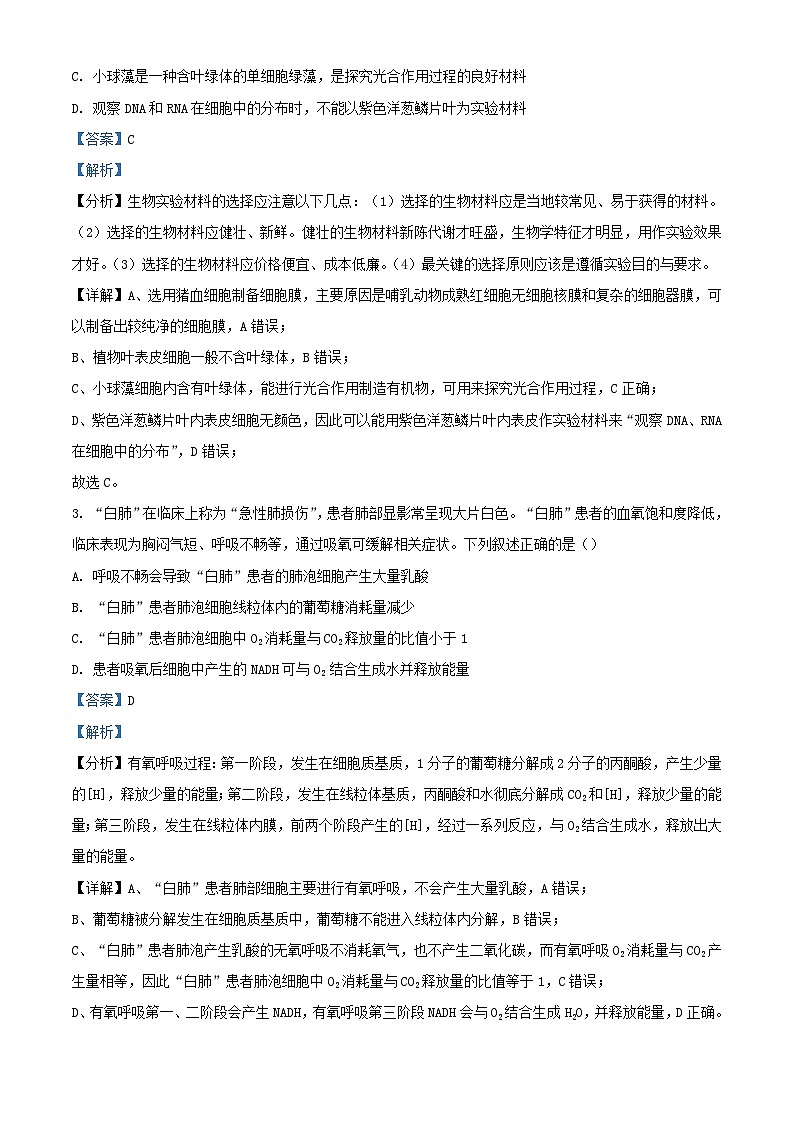 四川省内江市2023_2024学年高三生物上学期第三次月考试题含解析第2页