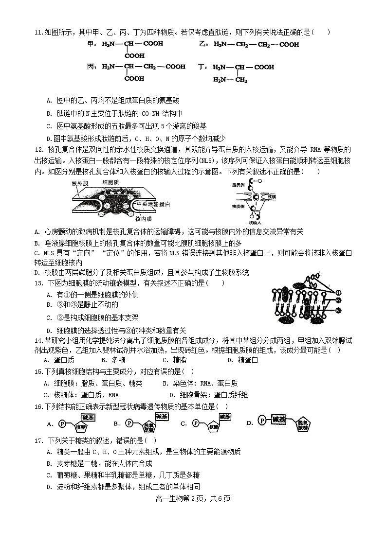 四川省内江市威远县2023_2024学年高一生物上学期12月月考试题无答案第2页