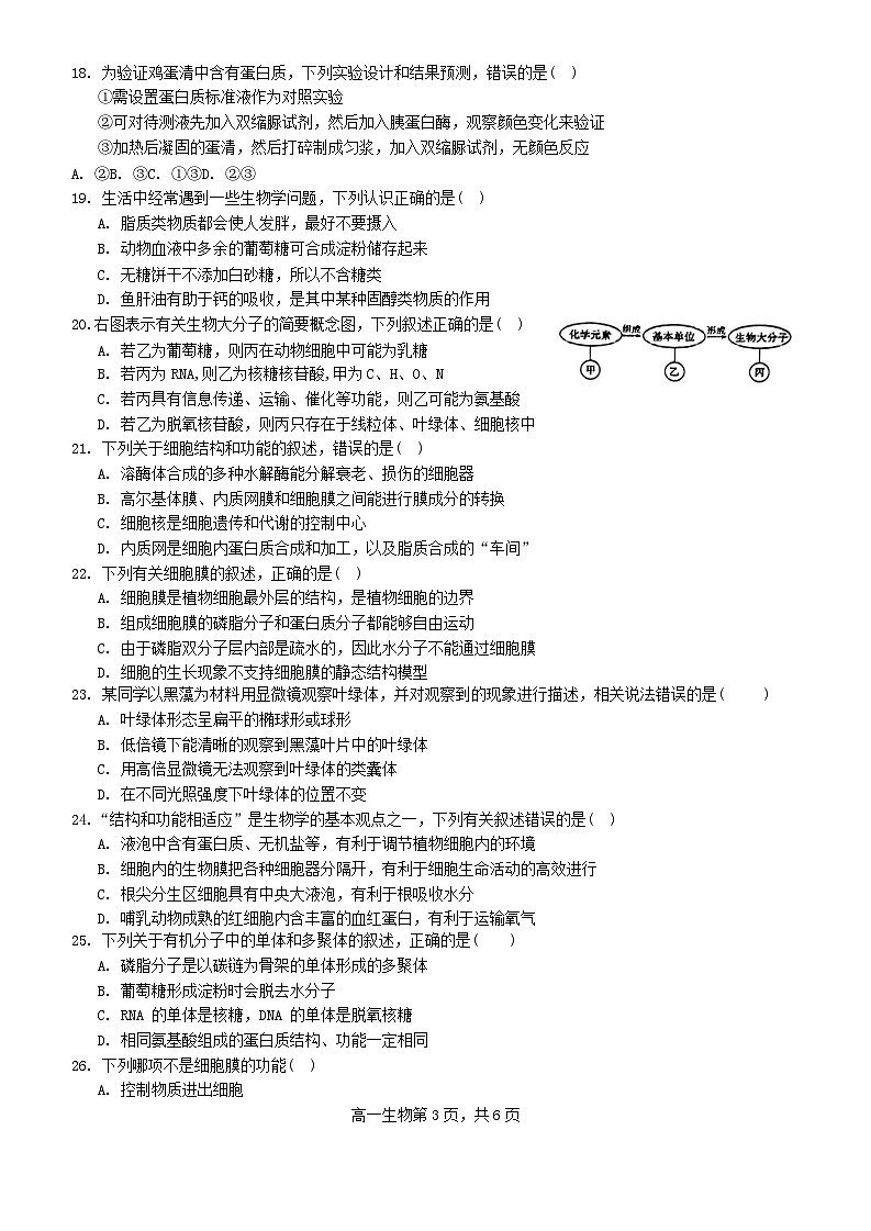 四川省内江市威远县2023_2024学年高一生物上学期12月月考试题无答案第3页