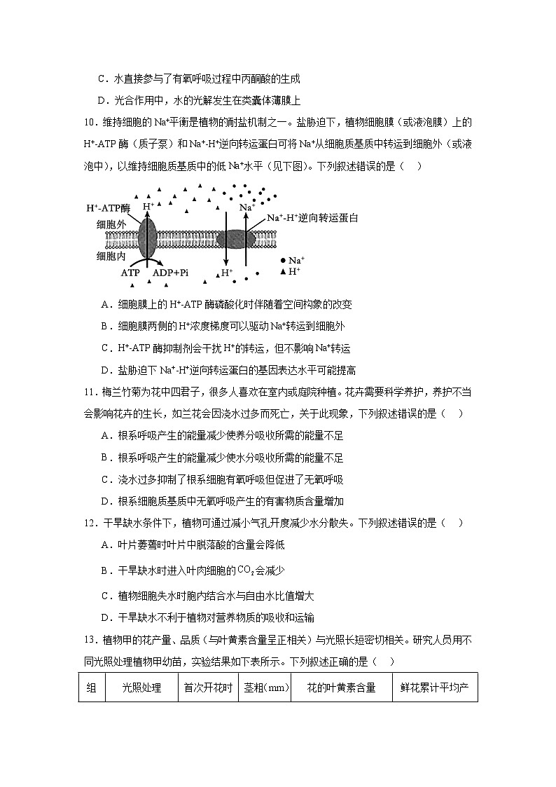 安徽省滁州市定远县育才学校2024-2025学年高三上学期模拟生物试卷(必修一)第3页