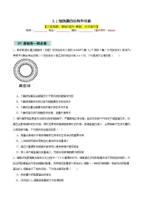 人教版 (2019)必修1《分子与细胞》第1节 细胞膜的结构和功能测试题