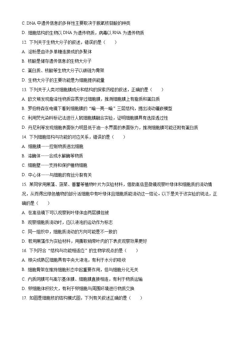2024—2025學(xué)年高一生物第一學(xué)期期末試卷01（原卷版）第3頁(yè)