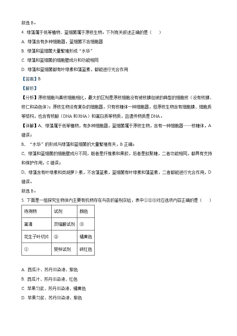 贵州省六盘水市纽绅中学2024-2025学年高一上学期10月月考生物试题03