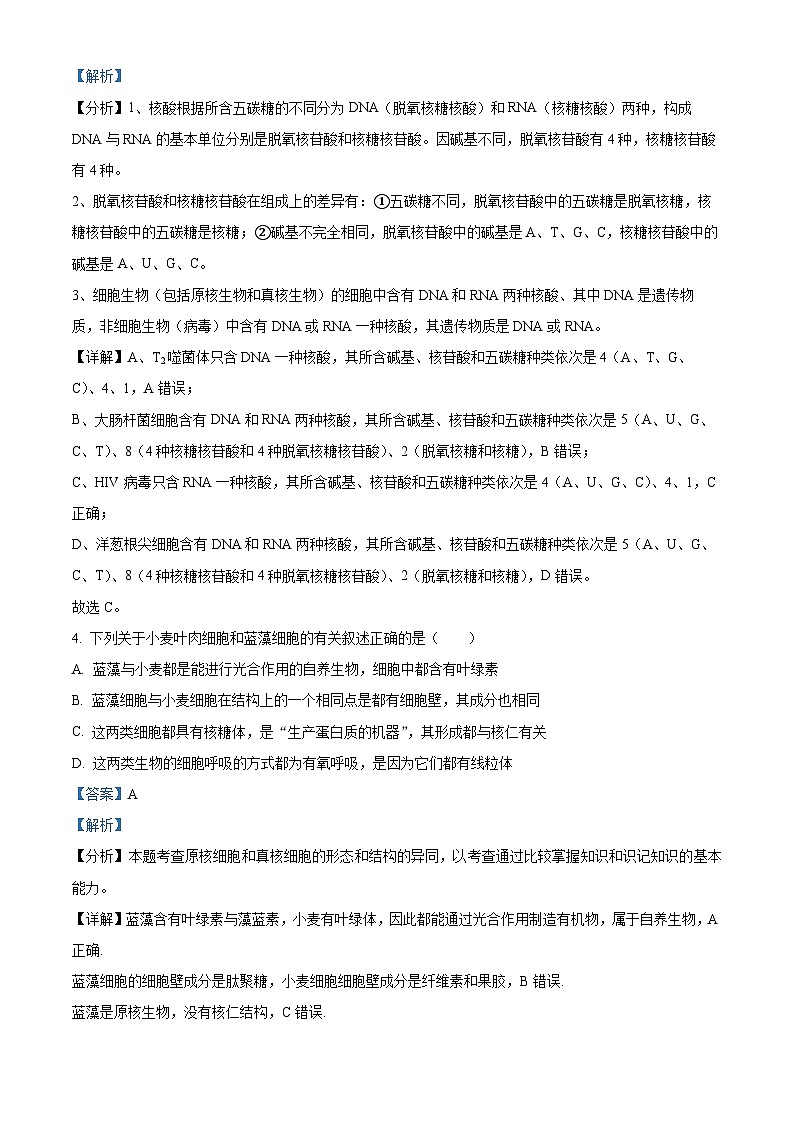 海南省定安中学2024-2025学年高三上学期10月月考生物试题(解析版)第3页