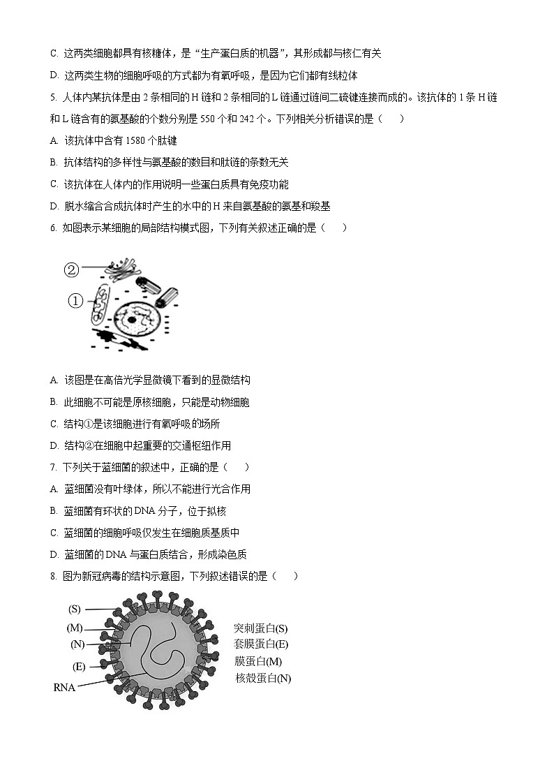 海南省定安中学2024-2025学年高三上学期10月月考生物试题(原卷版)第2页