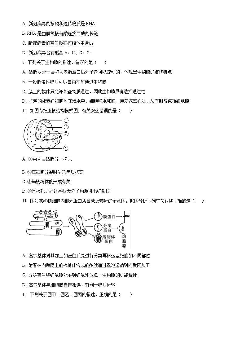 海南省定安中学2024-2025学年高三上学期10月月考生物试题(原卷版)第3页