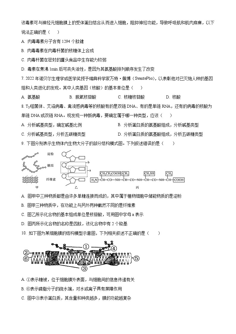 河南省郑州市中原区郑州市基石中学2024-2025学年高一上学期期中生物试题(原卷版)第2页