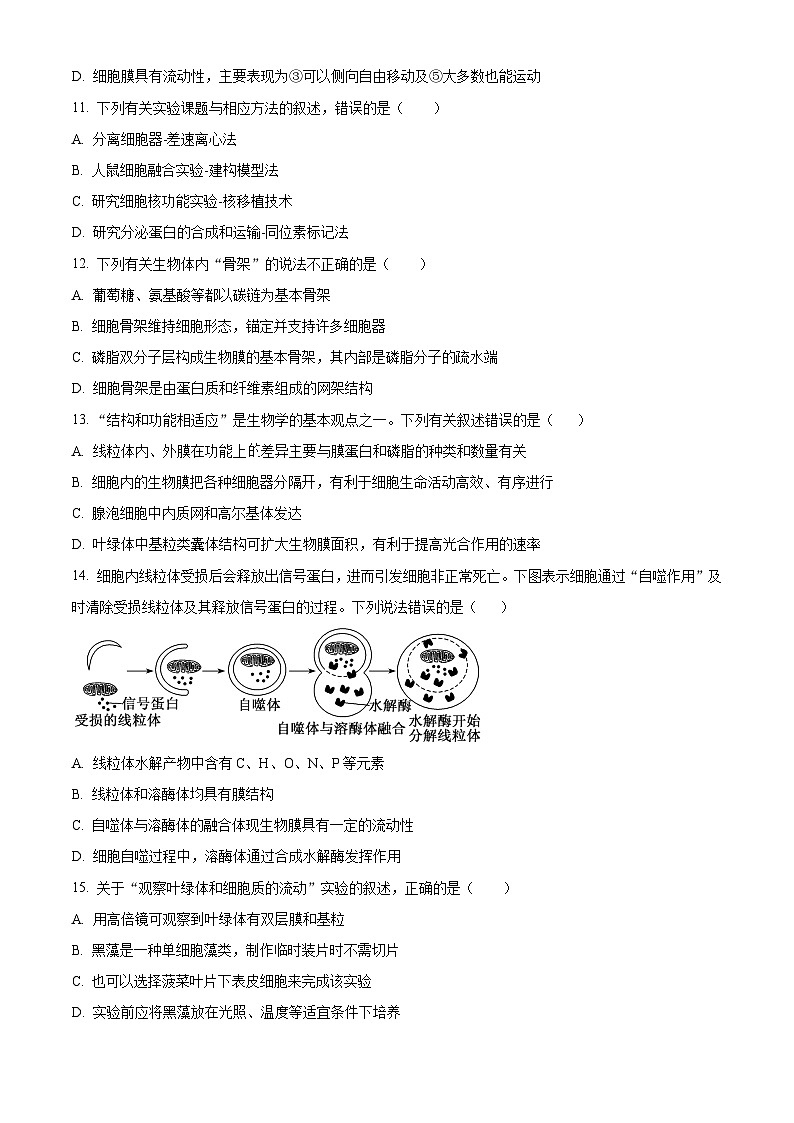 河南省郑州市中原区郑州市基石中学2024-2025学年高一上学期期中生物试题(原卷版)第3页