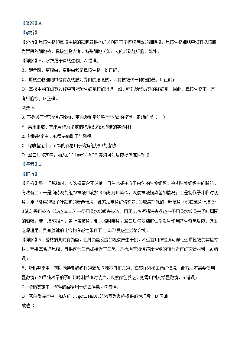 河南省郑州市中原区郑州市基石中学2024-2025学年高一上学期期中生物试题(解析版)第2页