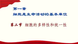 1.2 细胞的多样性和统一性-2024-2025学年高一生物同步课件（人教版2019必修1）