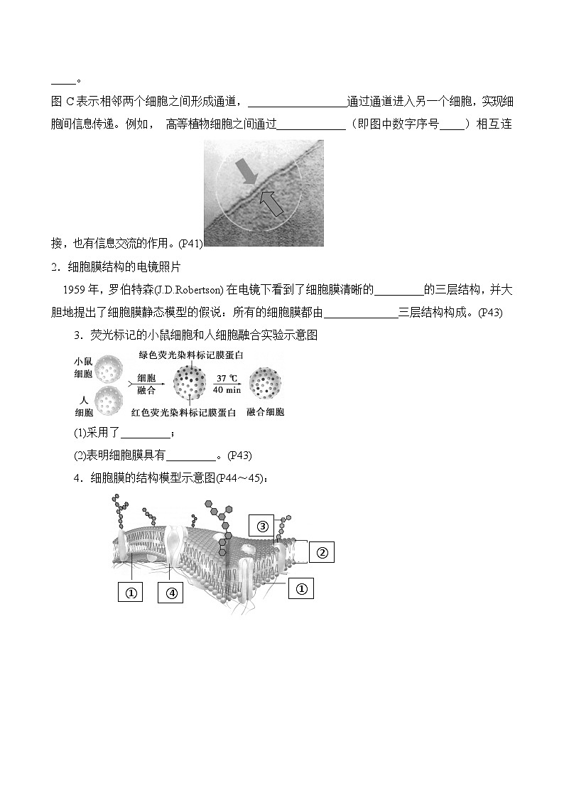 第3章 细胞的基本结构-备战2025年高考生物一轮复习必背知识点讲义02