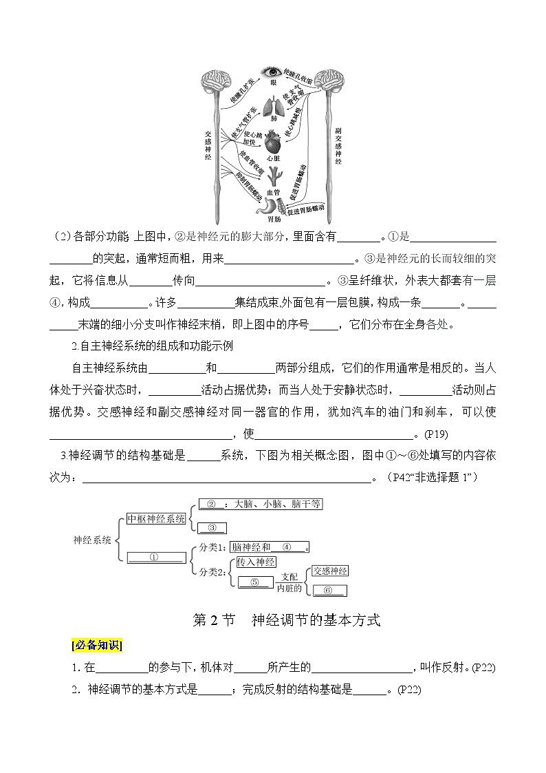 第2章 神經(jīng)調(diào)節(jié)（填空版）第2頁