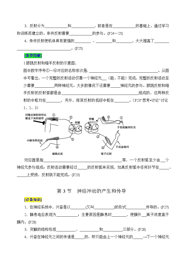 第2章 神經(jīng)調(diào)節(jié)（填空版）第3頁