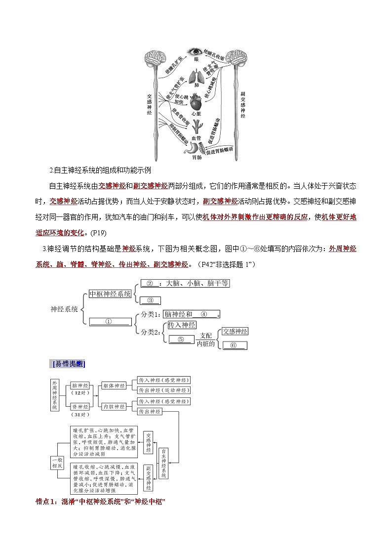第2章 神經(jīng)調(diào)節(jié)（背誦版）第2頁