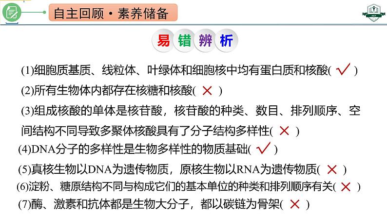 专题1.5 核酸是遗传信息的携带者(课件)-2025年高考生物一轮复习考点归类(新高考通用)第3页