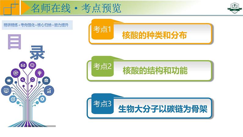 专题1.5 核酸是遗传信息的携带者(课件)-2025年高考生物一轮复习考点归类(新高考通用)第4页