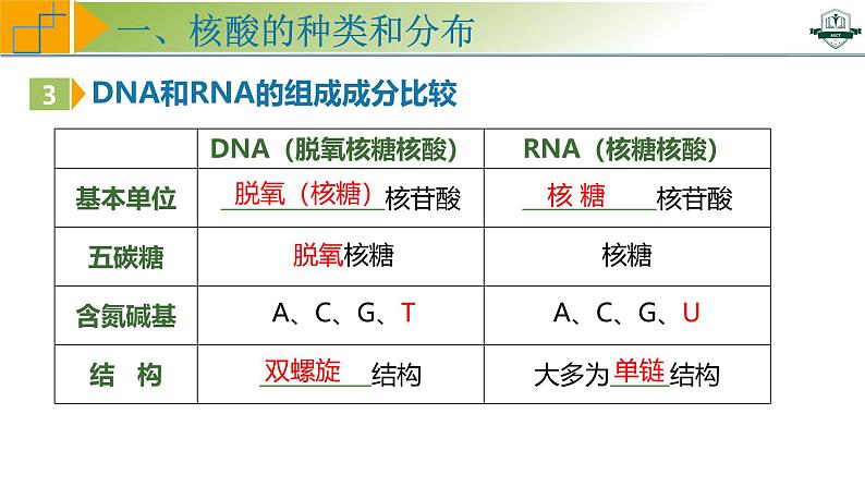 专题1.5 核酸是遗传信息的携带者(课件)-2025年高考生物一轮复习考点归类(新高考通用)第7页