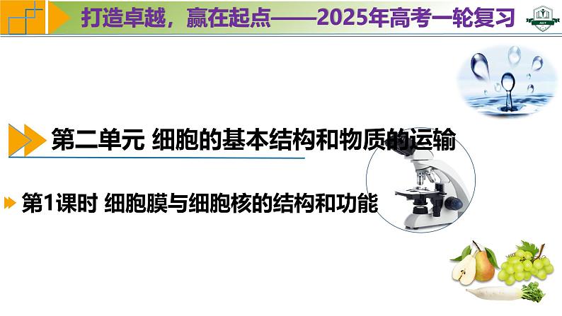专题2.1 细胞膜与细胞核的结构和功能(课件)-2025年高考生物一轮复习考点归类(新高考通用)第1页