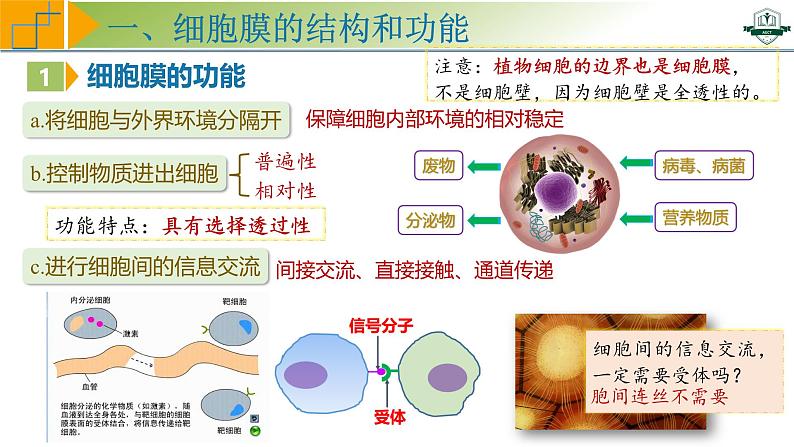 专题2.1 细胞膜与细胞核的结构和功能(课件)-2025年高考生物一轮复习考点归类(新高考通用)第5页