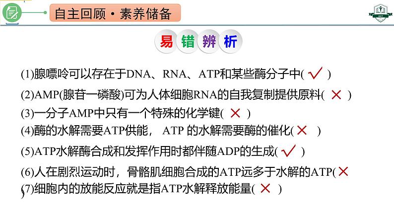 专题3.2 细胞的能量“货币”ATP(课件)-2025年高考生物一轮复习考点归类(新高考通用)第3页