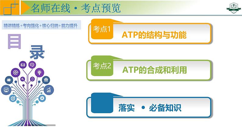 专题3.2 细胞的能量“货币”ATP(课件)-2025年高考生物一轮复习考点归类(新高考通用)第4页